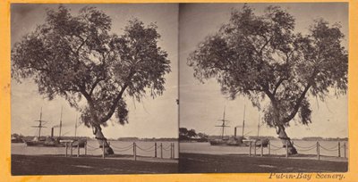 Willow Tree. Planted by Com. Perry and Other Survivors of the Battle of Lake Erie, to Mark the Burial by Benedict Benedict
